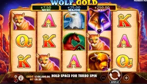 wolf treasure pokie